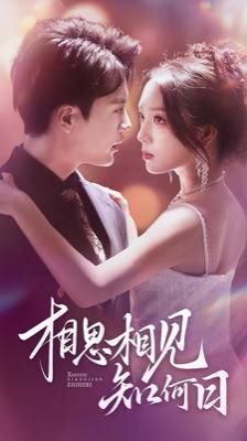 相思相见知何日第1-20集