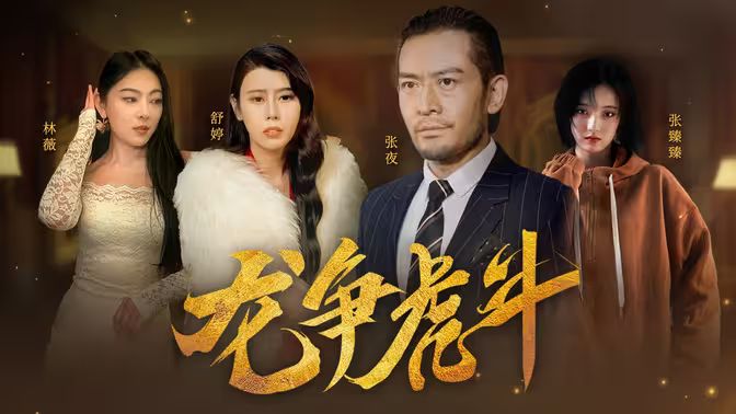 龙争虎斗第1-30集