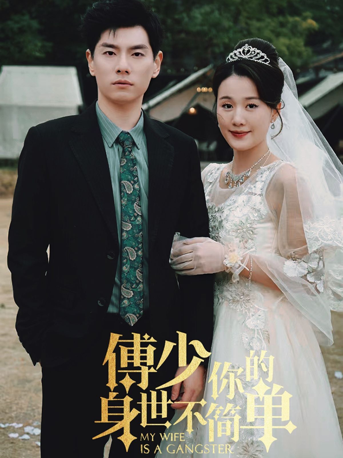 傅少你的身世不简单第1-20集