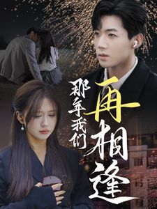 那年我们再相逢第1-20集