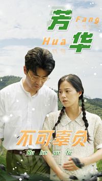 芳华不可辜负第1-20集