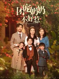 团宠奶奶不好惹第41-60集