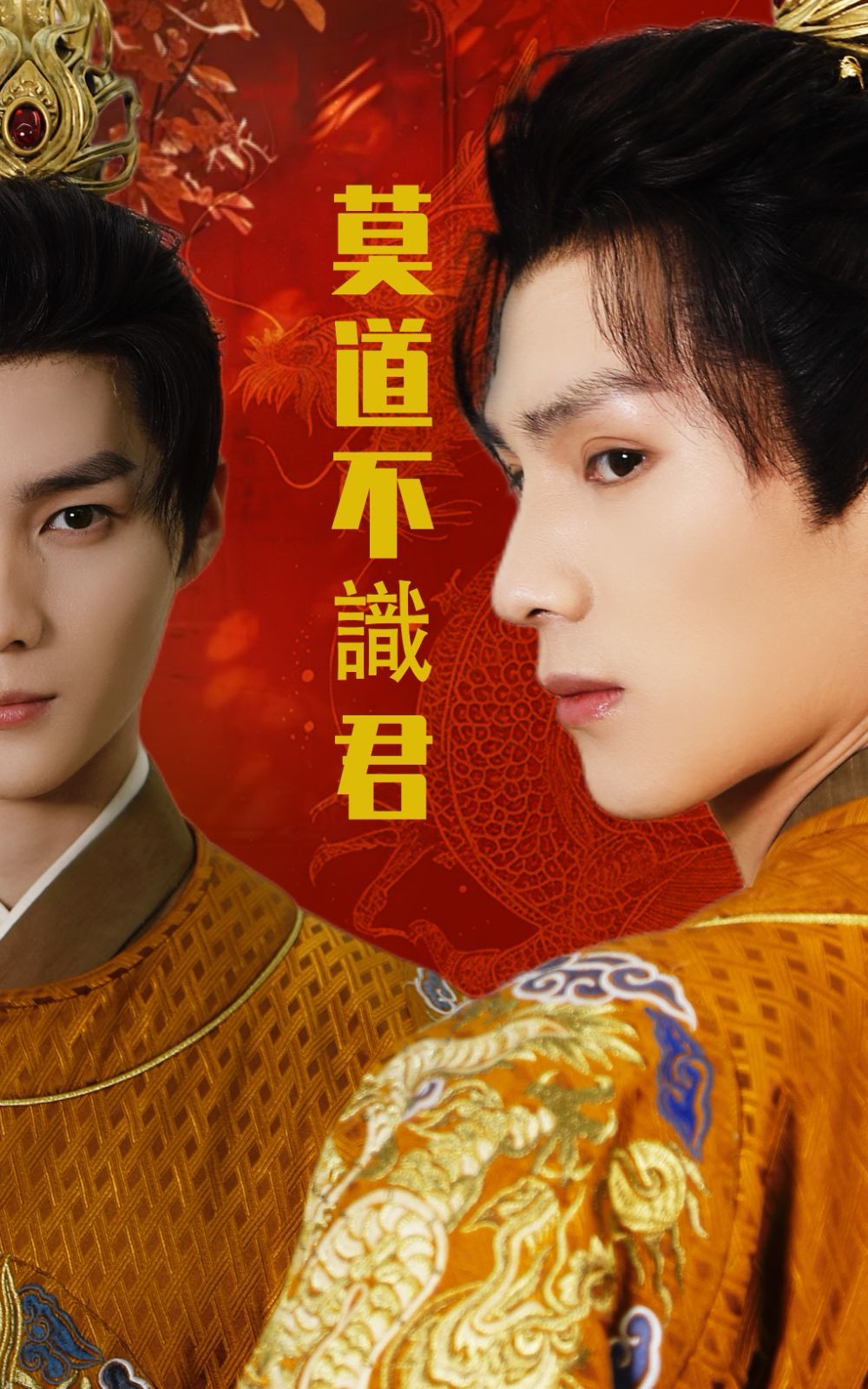 莫道不识君(全集)