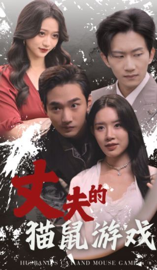 丈夫的猫鼠游戏(全集)