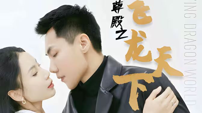 帝尊殿之飞龙天下第1-20集