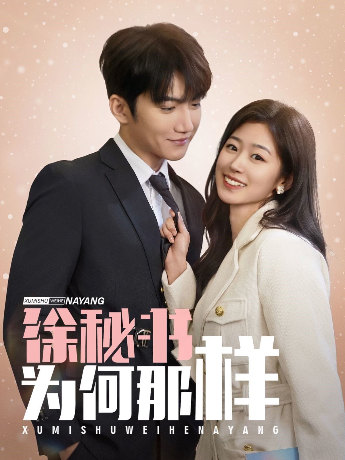 徐秘书为何那样第1-20集