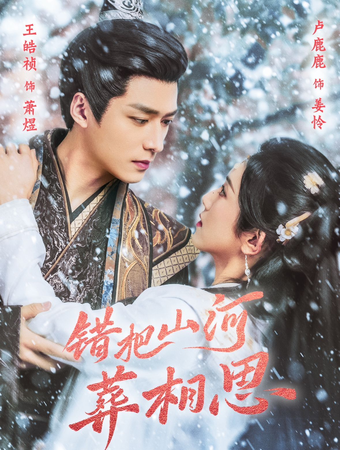 错把山河葬相思第01-30集