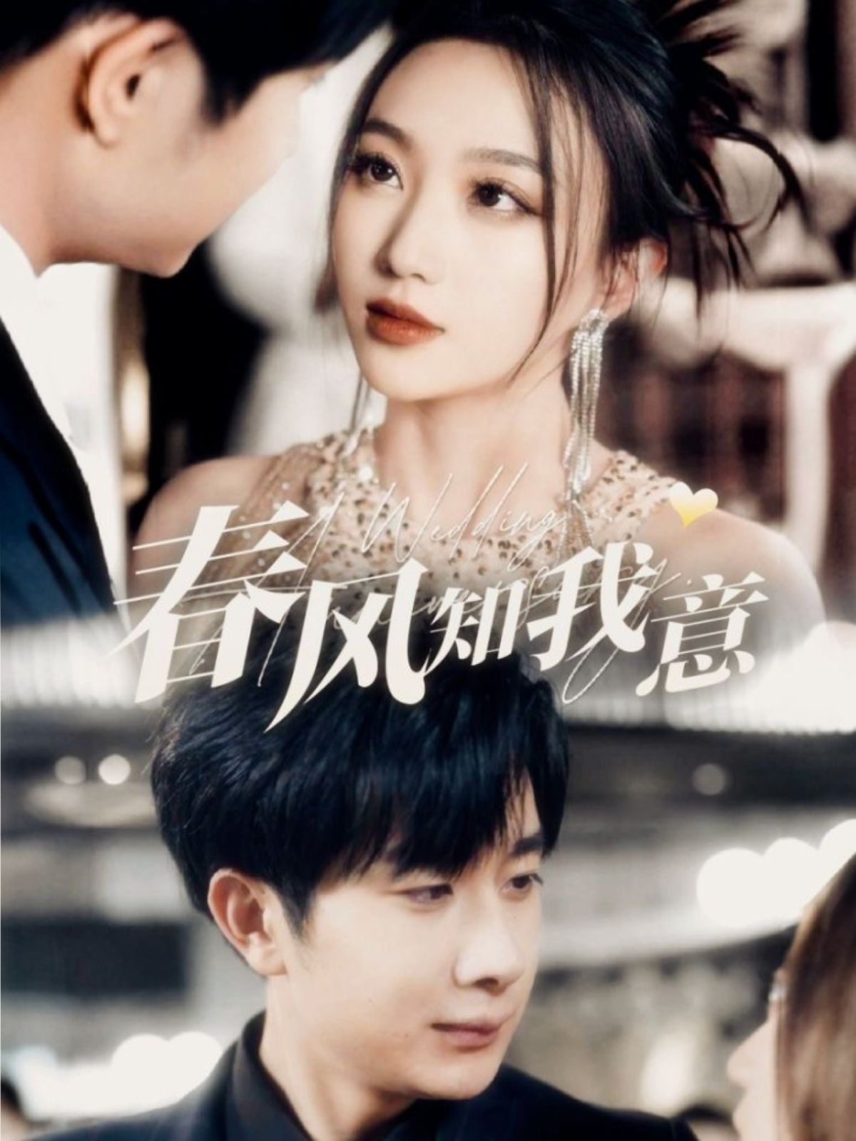 春风知我意第01-30集