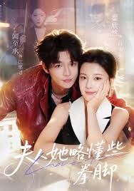 夫人她略懂些拳脚(全集)