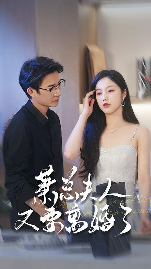 萧总夫人又要离婚了第1-20集