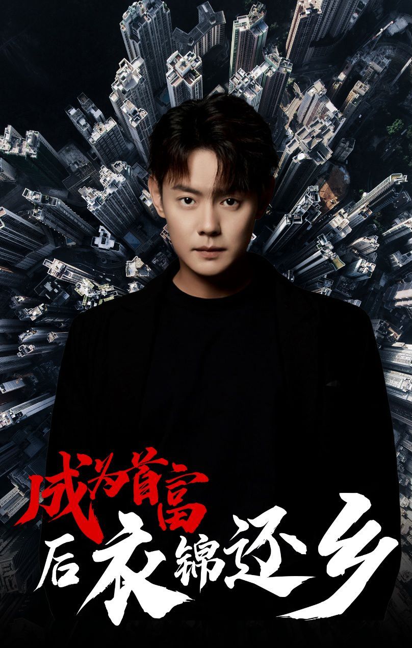 成为首富后衣锦还乡第1-20集