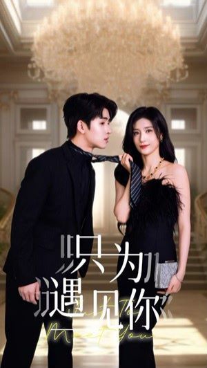 只为遇见你第1-20集