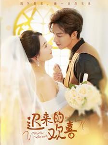 迟来的欢喜第1-20集