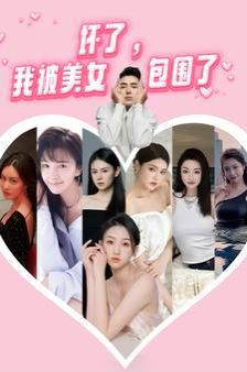 坏了，我被美女包围了第1-20集