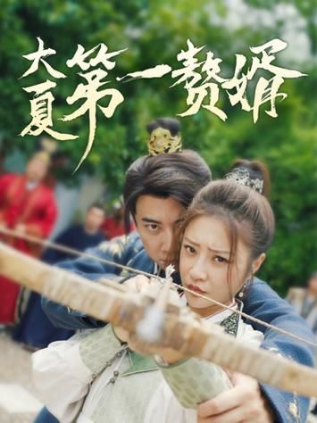 大夏第一赘婿第1-20集