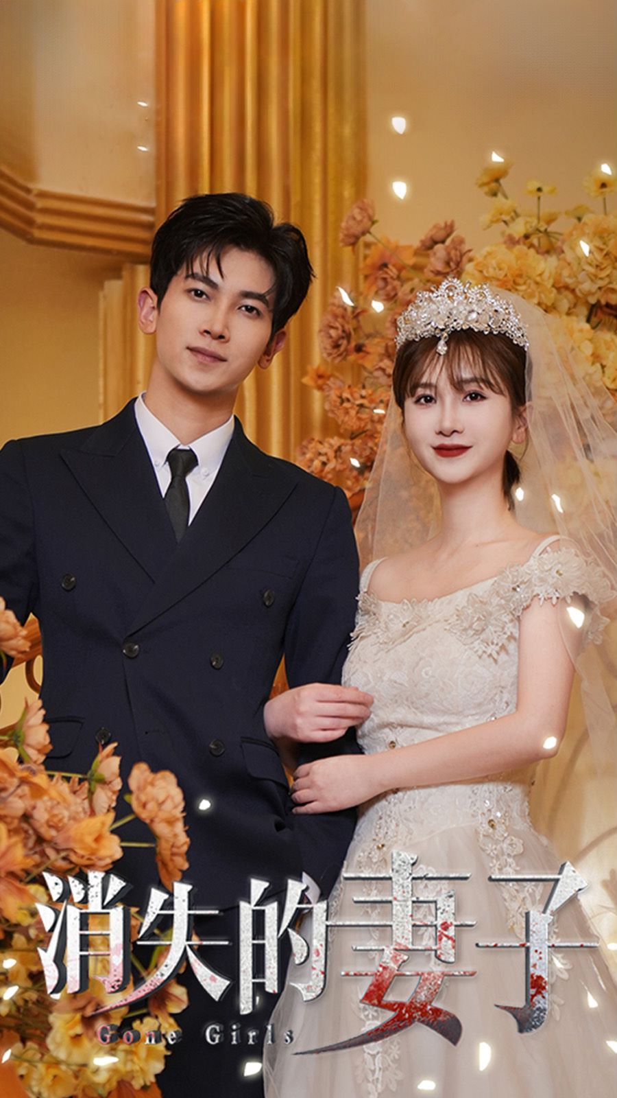 新：消失的妻子第1-20集