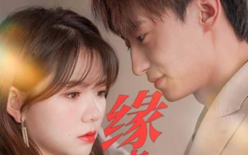 缘来是你第1-20集