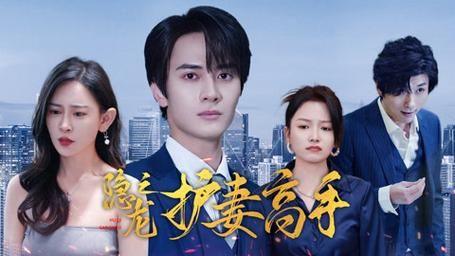 隐龙之护妻高手第1-20集