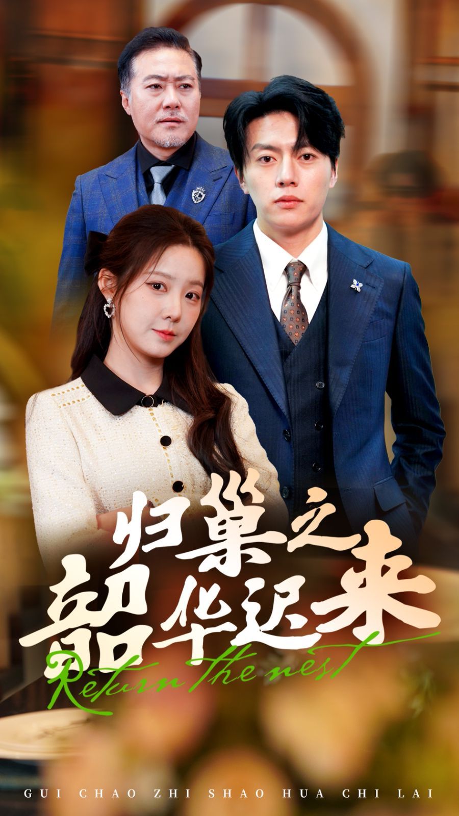 归巢之韶华迟来第01-30集