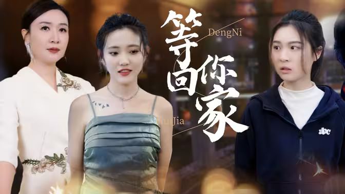 等你回家第1-20集