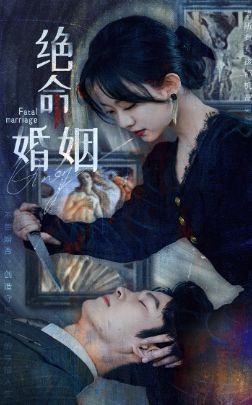 绝命婚姻第1-20集