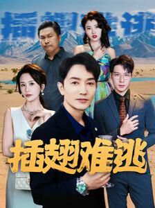 插翅难逃第1-20集