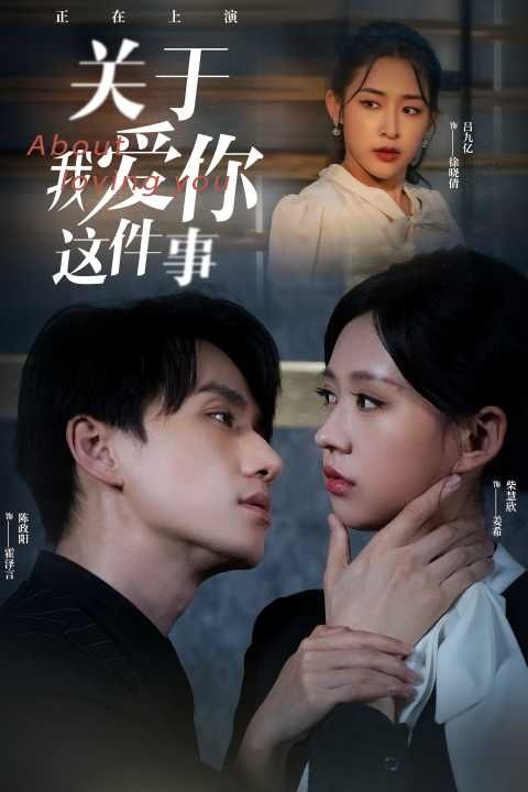 关于我爱你这件事第1-20集