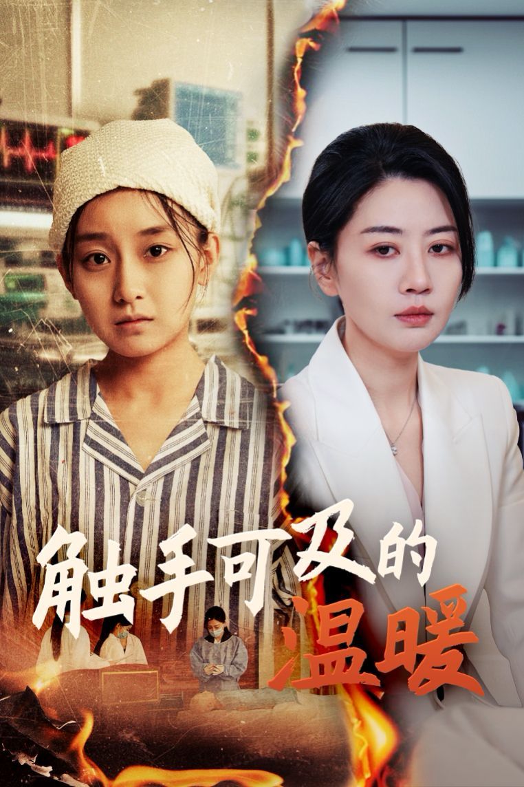 触手可及的温暖第01-20集