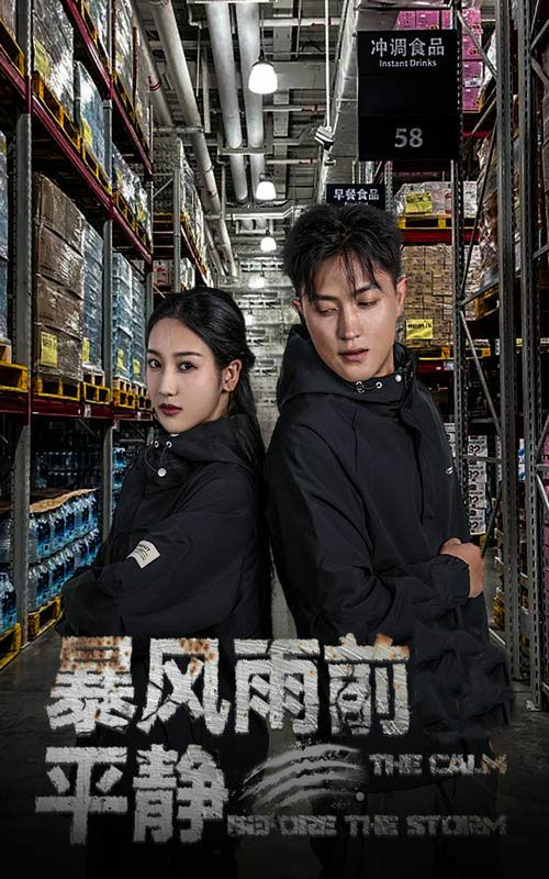 暴风雨前的平静全集完结(大结局)