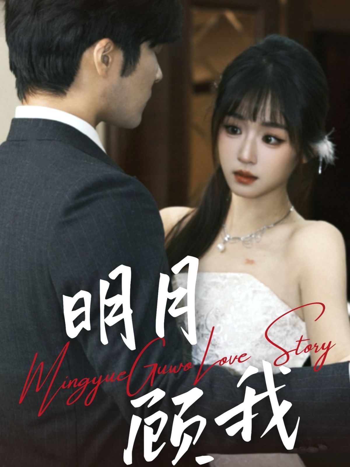 明月顾我第01-30集