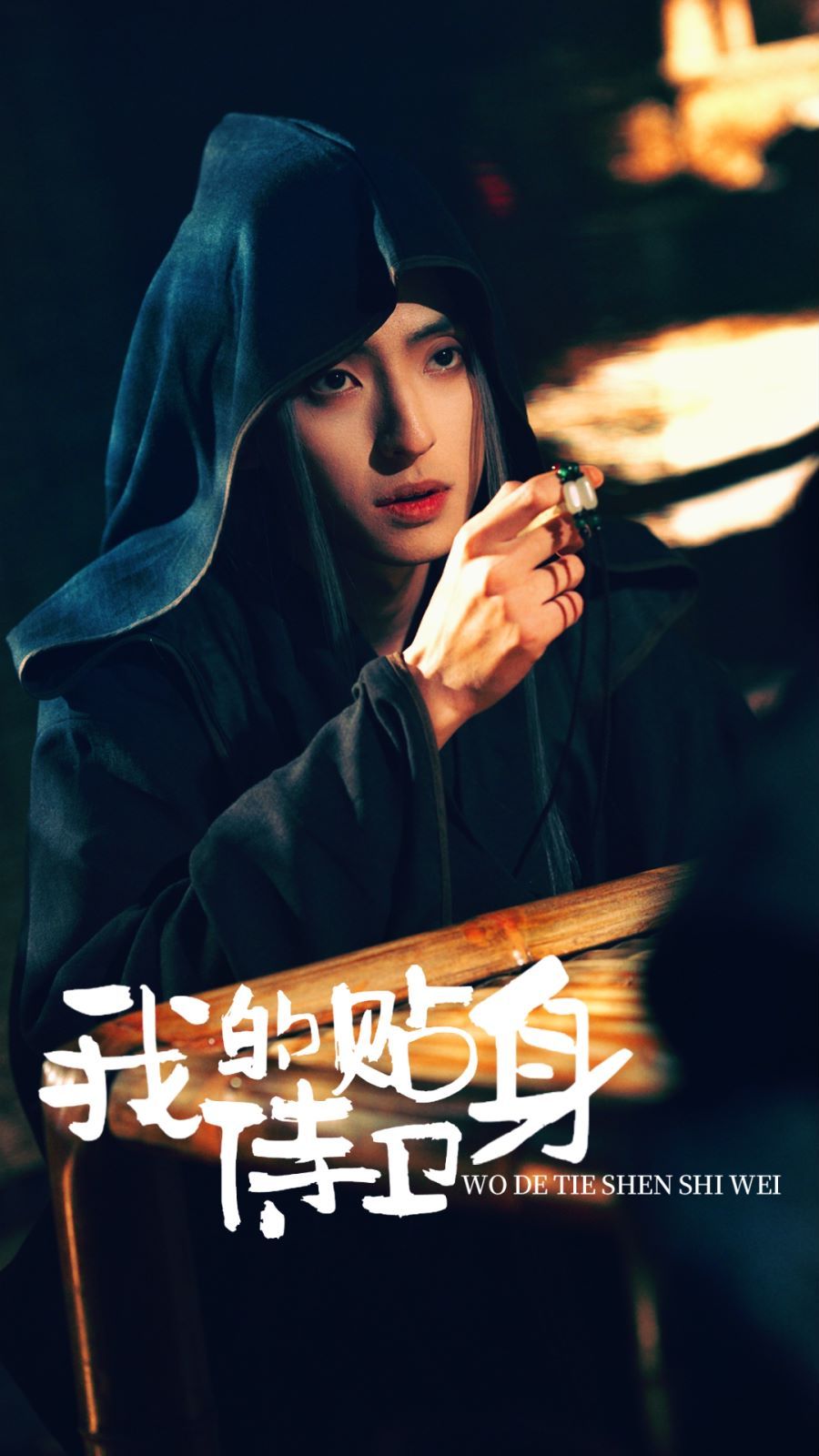 我的贴身侍卫第1-20集