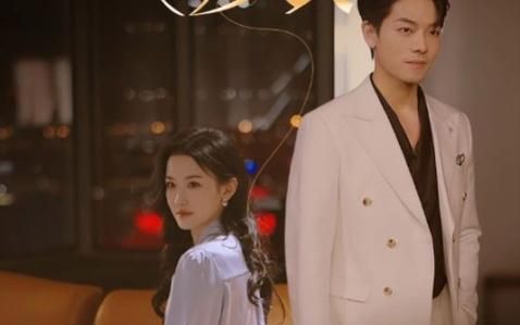 厉总，你找错夫人了第1-20集