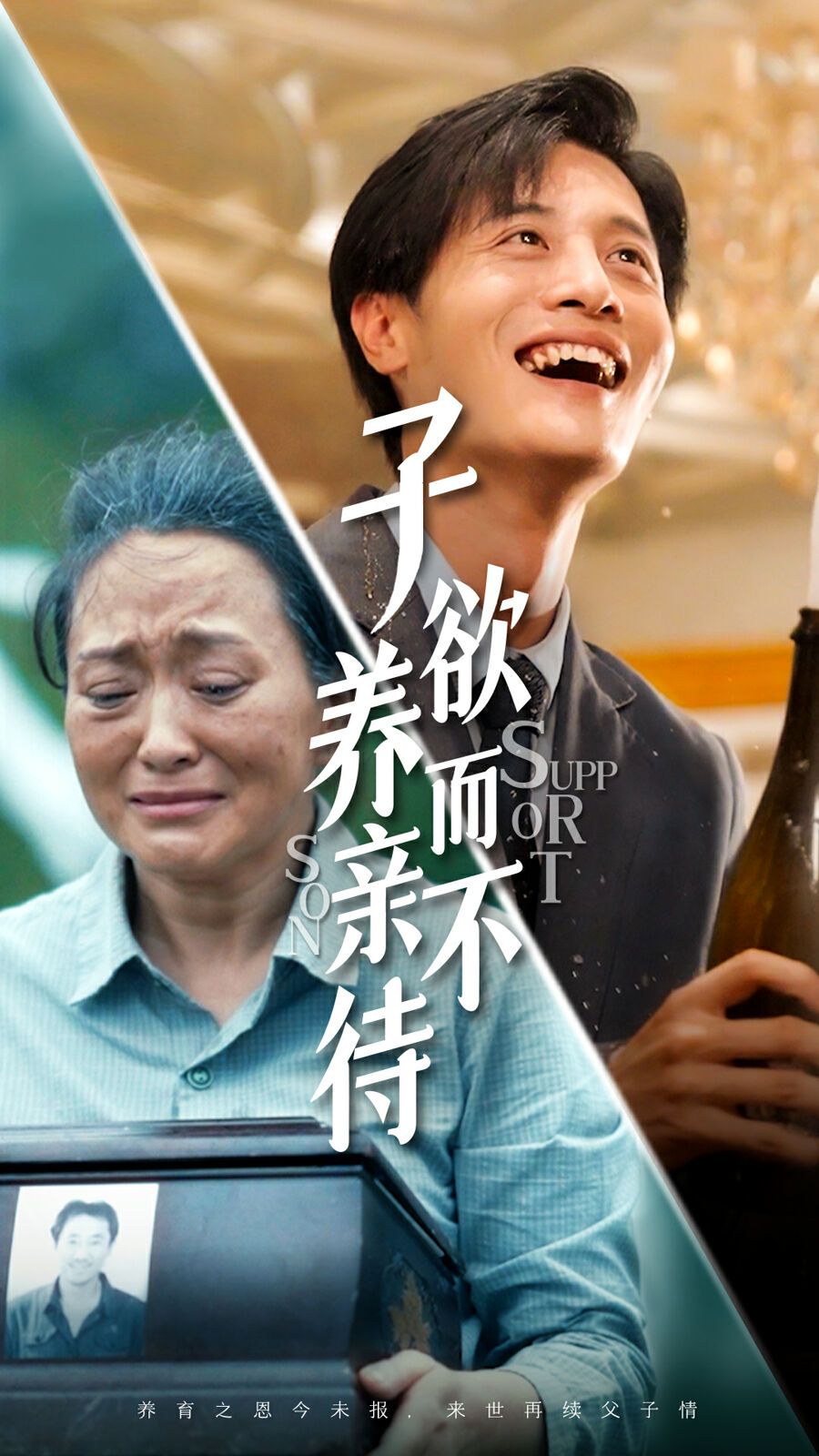 子欲养而亲不待第1-20集