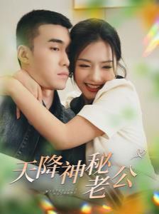 天降神秘老公第41-60集