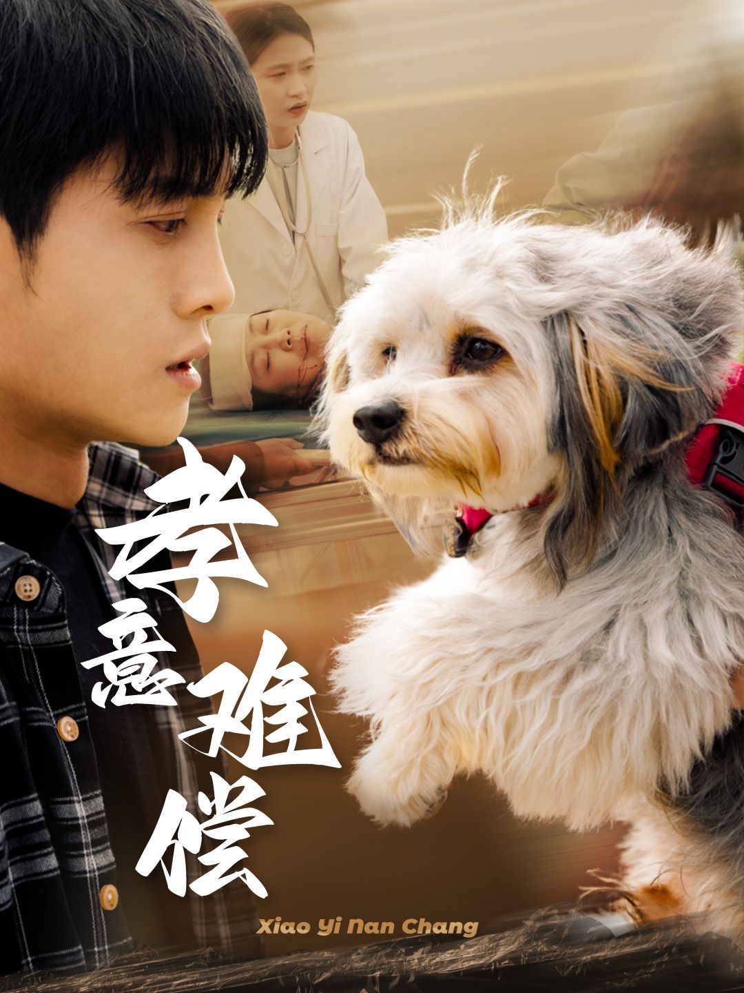 孝意难偿第1-20集