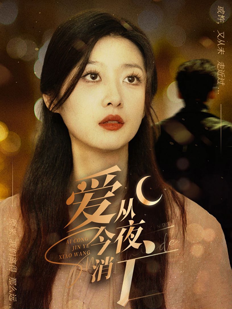 爱从今夜消亡第1-20集