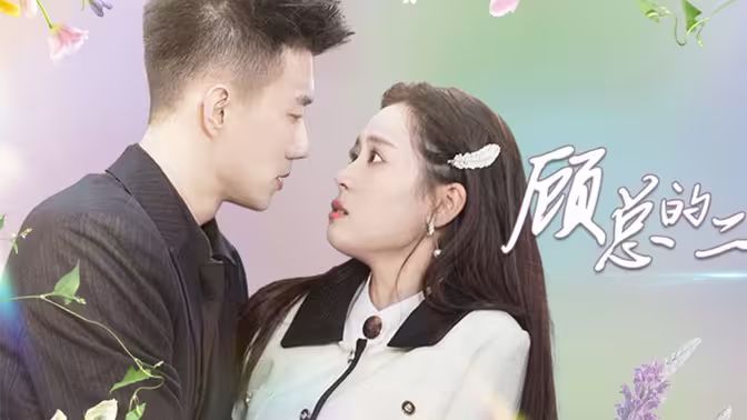 顾总的二婚娇妻第1-20集