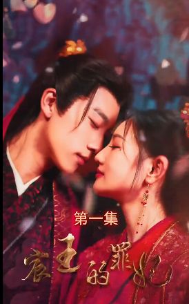 宸王的罪妃第1-30集