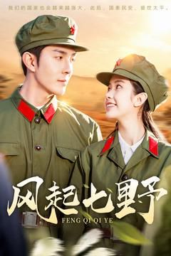 风起七野第1-20集
