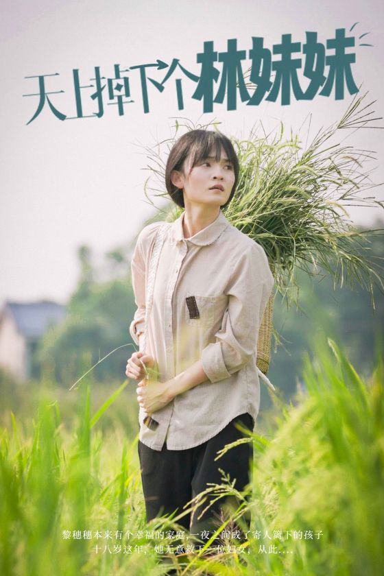 天上掉下个林妹妹第1-20集
