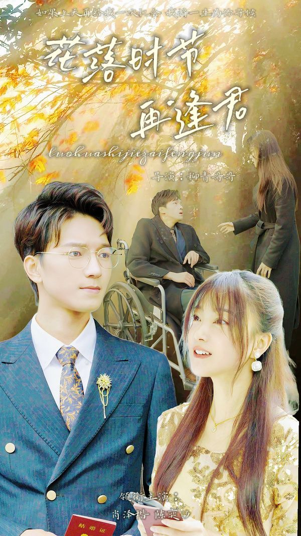 落花时节再逢君第1-20集