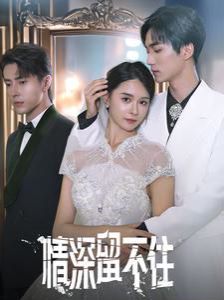 情深留不住第1-20集