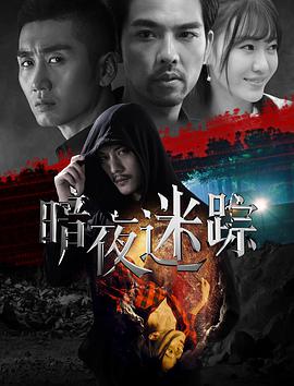 暗夜迷踪(大结局)