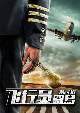 飞行员呆呆鸟(大结局)