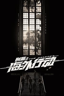 刑警之海外行动第05集