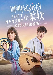 柔软夫妇速看版第07集