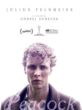 孔雀2015(大结局)