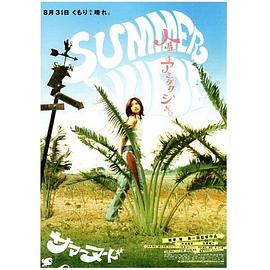 夏天的小岛(大结局)